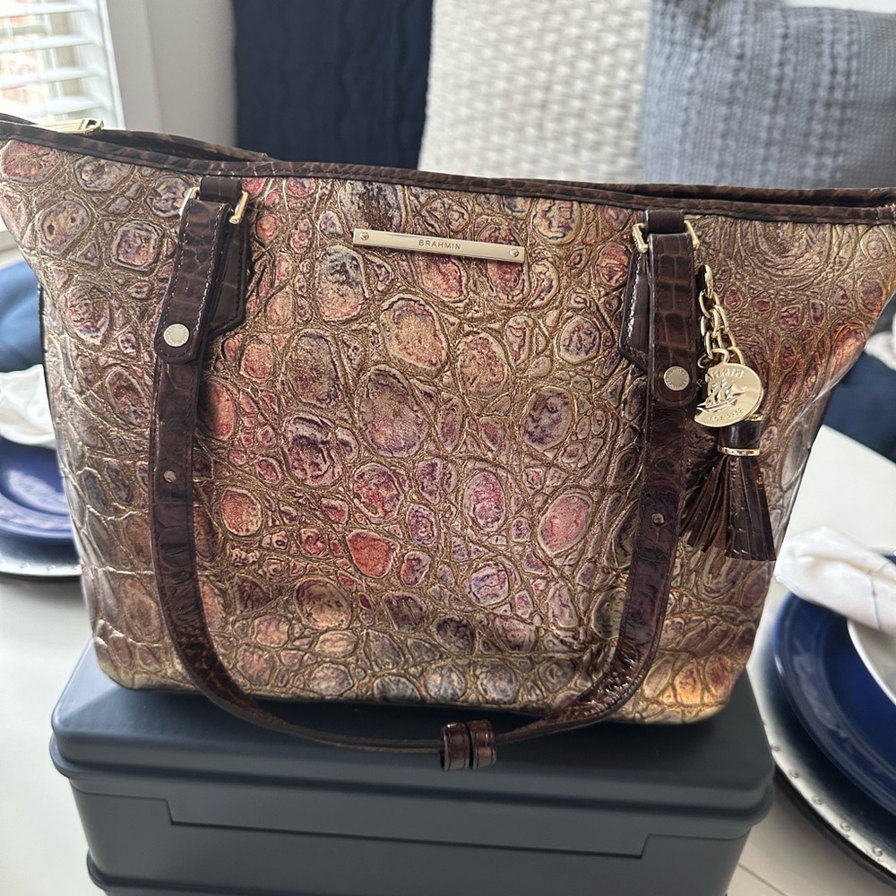 Brahmin Medium Asher